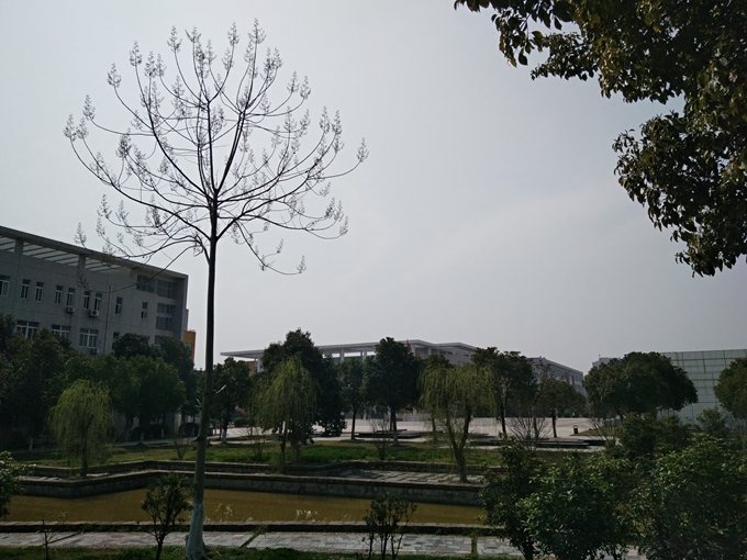 32会计162汪文婷.jpg