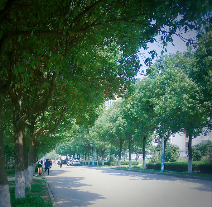 三等奖49电商162刘悦.jpg