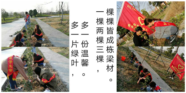 图片15_副本.png