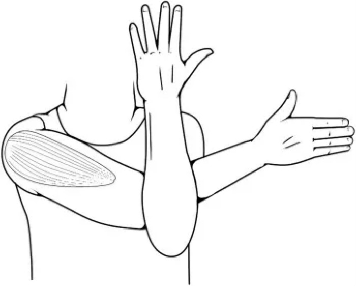 tupian 7.jpg