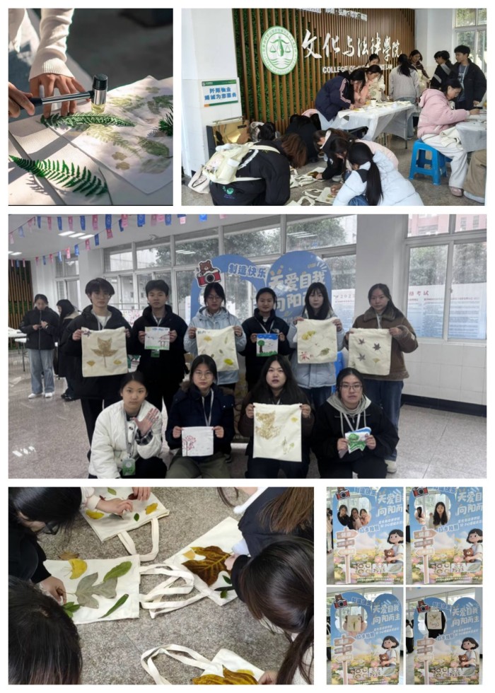 图片6.jpg